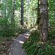 trail at Fishermen's Bend