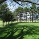 The grounds at Sleepybear Campground in Noblesville, IN