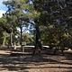 WARD MTN. CAMPGROUND (MURRAY SUMMIT)