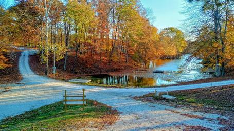 Bill Monroe Music Park & Campground