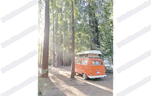 "RELL SUNN" Classic Volkswagen Pop Top Camper Van