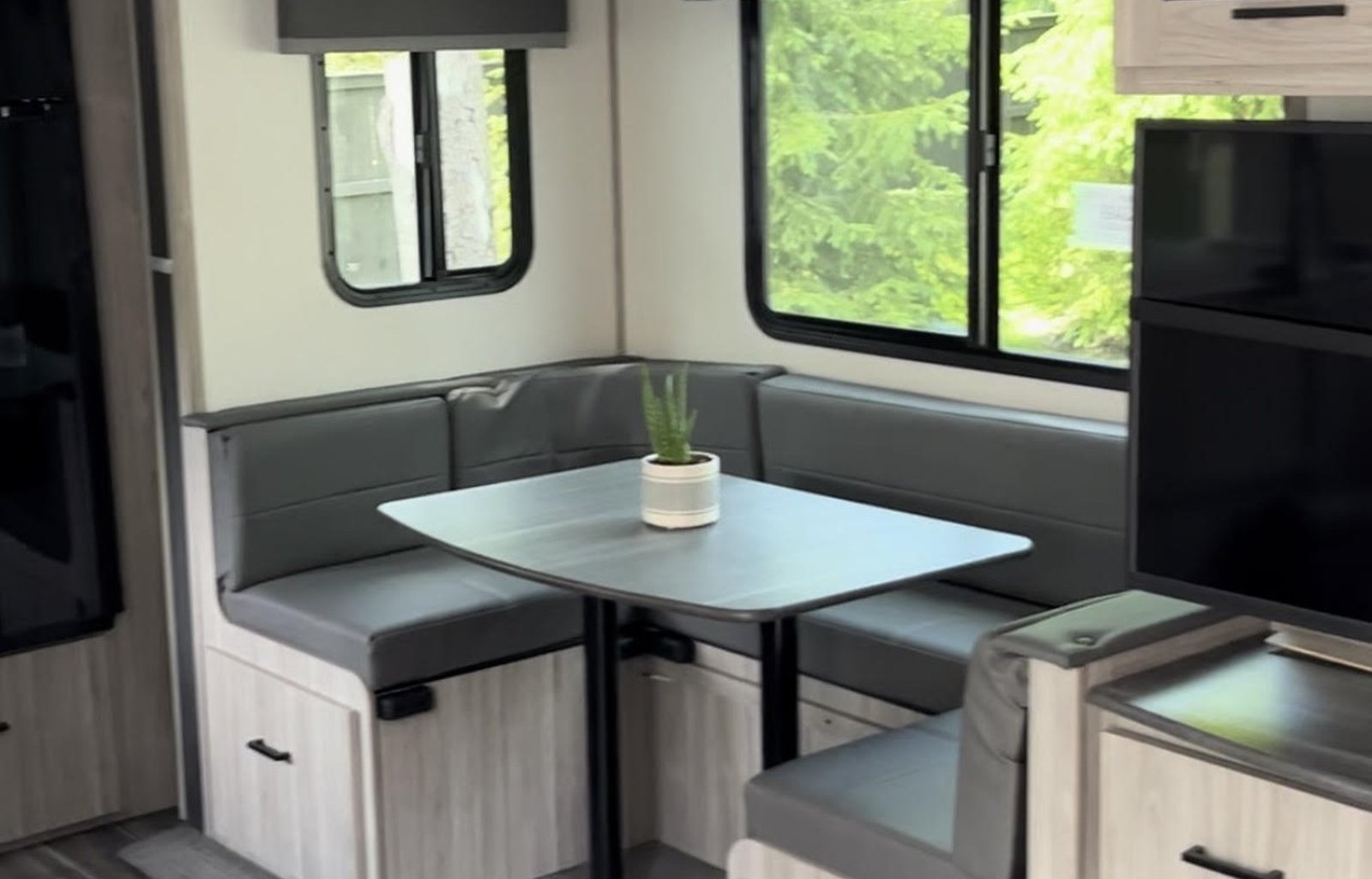 Pet Friendly - Keystone Passport Travel Trailer