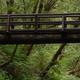 Whittaker Creek bridge near the seasonal dam