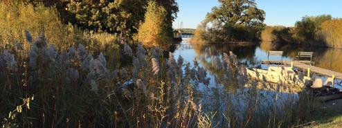 Hickory Oaks