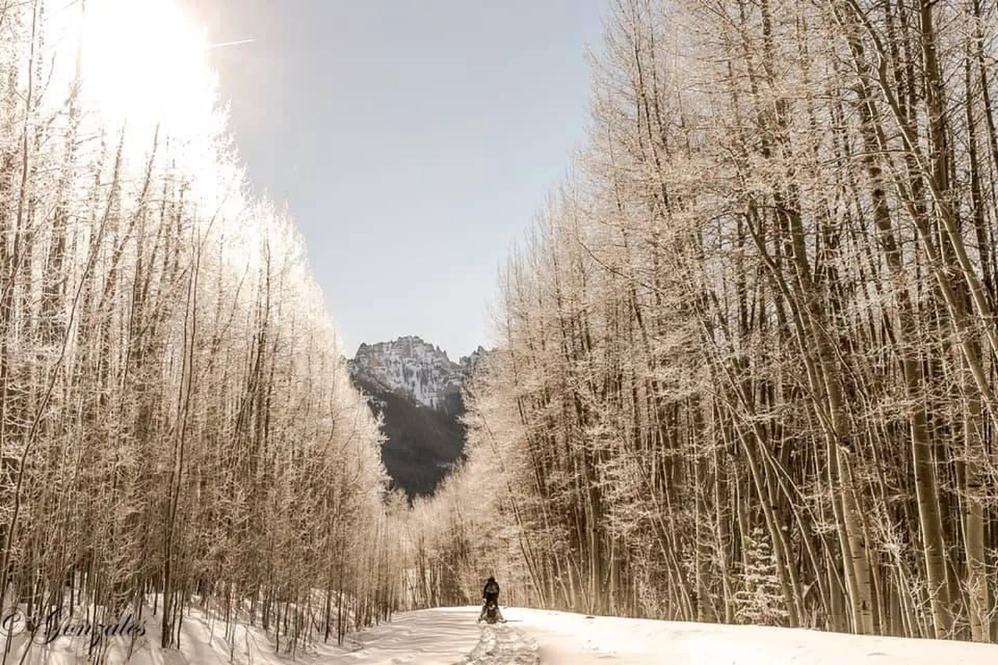 Jackson Guard Station