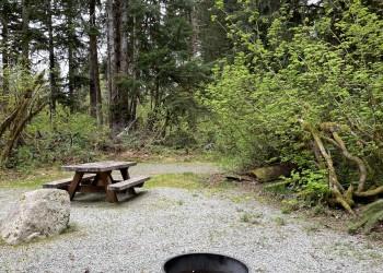 Bayview North Group Camp