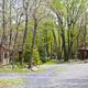 Cabins