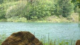 Black Canyon Campground (Willamette National Forest, OR)
