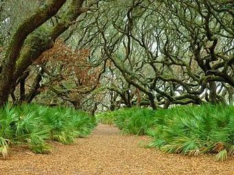 Cumberland Island National Seashore Camping Permits