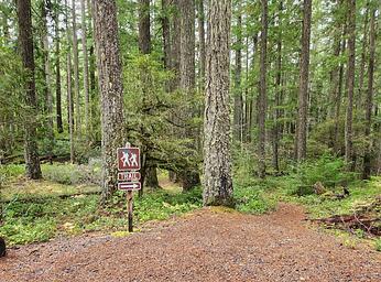 Hemlock Falls Trailhead #1520