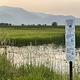 Wildlife Refuge 1