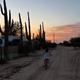 Dirt trail view with RVs and a cyclist at sunset — shows campground roads, RV sites and surrounding desert scenery (file Trails-outside-around-park-400x284.jpg).