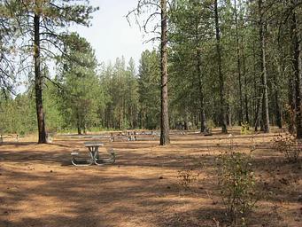 001, Loop: EVANS GROUP SITE