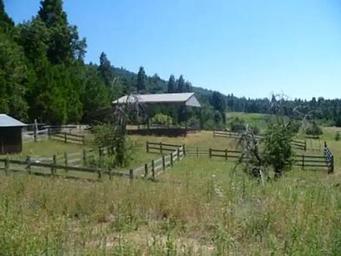 Grouse Valley Cabins