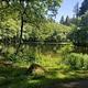 Serene Hebo Lake, under a blue sky