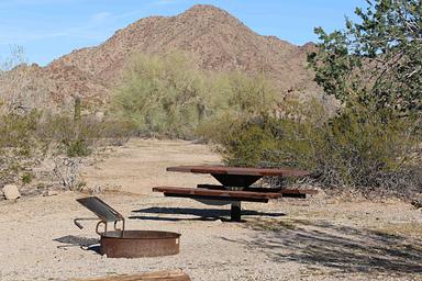 Margies Cove West Campsite