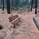 Lion's accessible paved interpretive trail bench and directional sign post leading to wooden bridge with rustic railing.