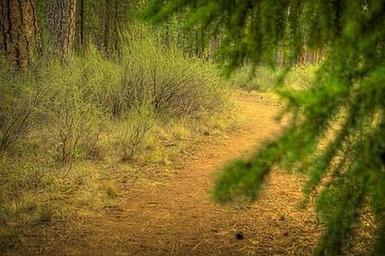 RIVERSIDE CAMPGROUND