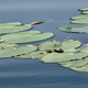 Campspot slideshow image 5