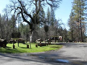 PGS, Loop: AREA PINES GROUP/STANISLAUS