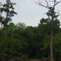 Campground image 3