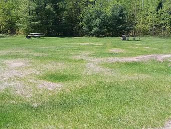 Cookson Lake Site 3-5