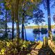 Framed lakeside scene through trees with clear water view — provides a different scenic perspective emphasizing shoreline and wooded character.