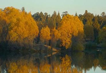 Reynolds Pond Recreation Site