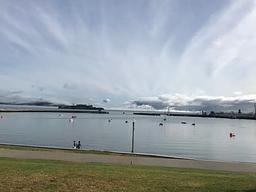 Aquatic Park Cove