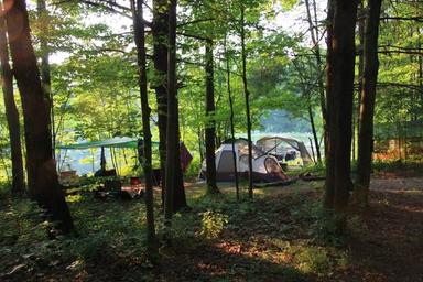 Tent camping area set among trees with a view toward water — depicts wooded tent sites and nearby natural scenery indicated on the campground’s page.