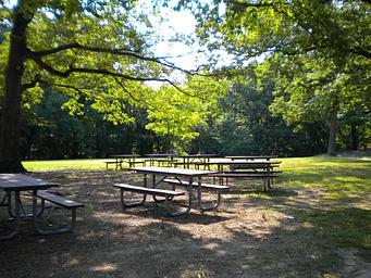Picnic tables in the shade of trees located in Picnic Area A