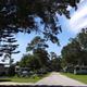 Encore Rose Bay