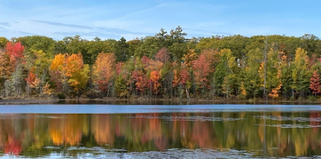 Punch Lake Campground