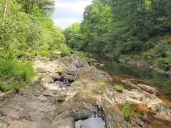Potts Creek at Steel Bridge Campground