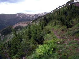 Sheep Springs Overlook