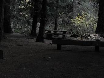 LIMBERLOST CAMPGROUND