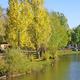 Luxury Concierge Service for Pagosa Springs Homes