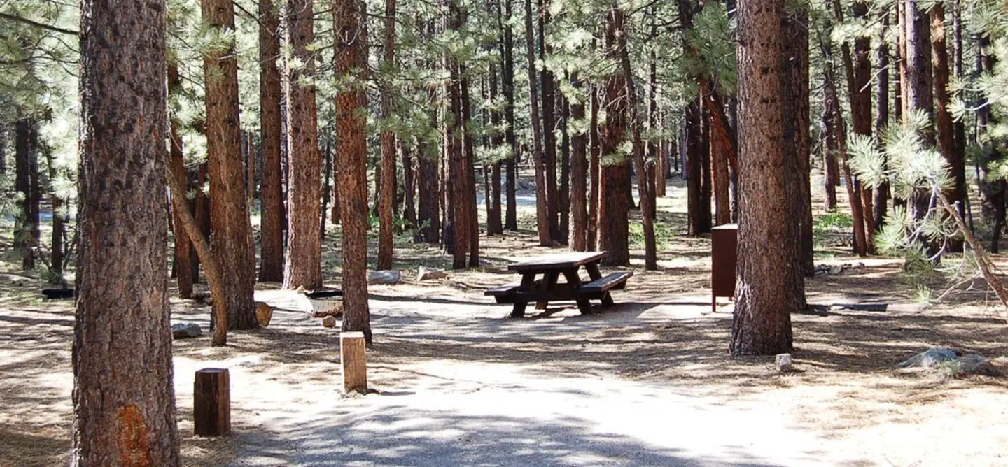 Old Shady Rest Campground