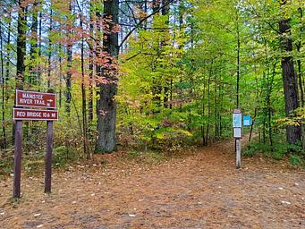 Manistee River Trail 