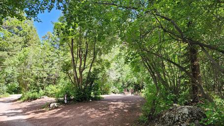 Malad Summit Campground