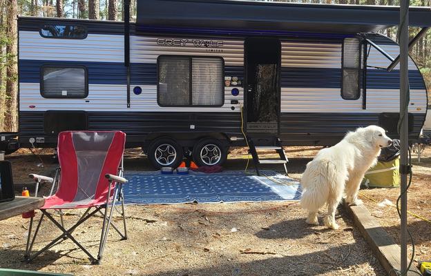 2022 Easy-Set-Up and Family Friendly Grey Wolf