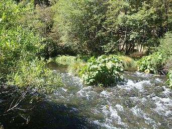 MAD RIVER CAMPGROUND