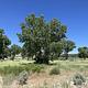 A photo of facility Deerlodge Park Campground with Shade