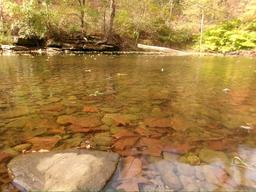 Squarewood Acres Campground