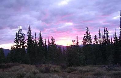 LIZ BUTTE CABIN