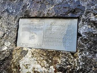Wild Mare Memorial Rock