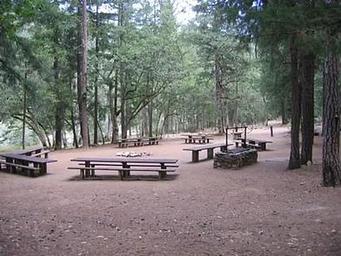 INDIAN SCOTTY GROUP SITE
