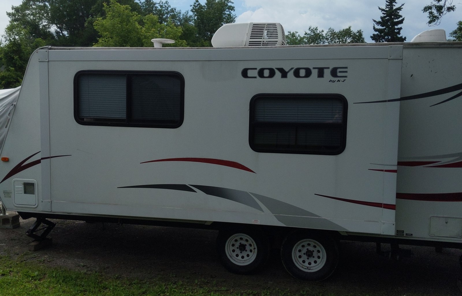 coyote lifestyle