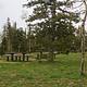 DEER HAVEN
