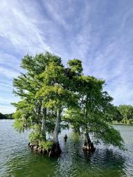 Lake Moultrie RV Park & Marina, Cross South Carolina